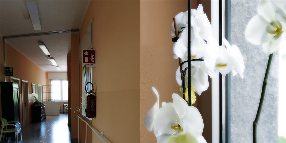 fotostrID33_3
